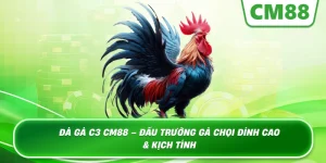 Đá Gà C3 – Đấu Trường Giải Trí Đẳng Cấp Tại CM88